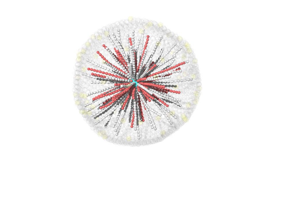Microtubule organizing center example
