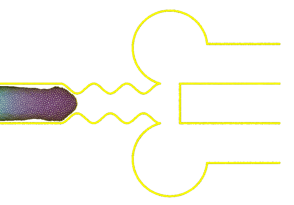 Cell navigating confinement