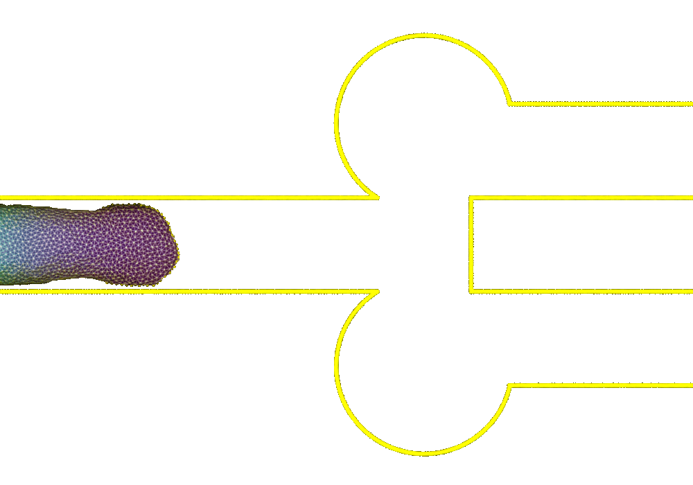 Cell navigating an unconfined channel